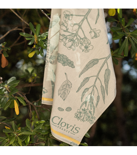 Torchon avec une couleur Écru en fond et des motifs en vert de gris, matière 100% coton, dimension de 50cm x 70xm